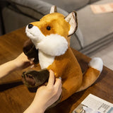 17/23/30CM Reallife Fox Plushie Stuffed Wild Animals Lifelike Doll Home Decor Toys