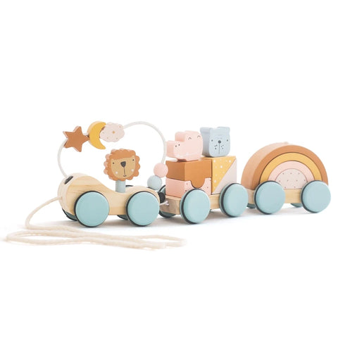 Baby Montessori Toy Wooden Train Baby Educational Toy Wooden Rainbow Blocks Trolley Baby Learning Toy Children Birthday Gift