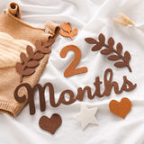 Felt Digit Baby Month Milestone Card Newborn Photography Prop Milestone Memorial Monthly Baby Souvenir Newborn Photo Accessories