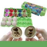 Smart egg toy for kids – shape matching, learning fun. - MiniPrecious